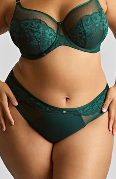 Figi Sculptresse by Panache JOSEPHINE 10852A High Leg Brief Forest Green