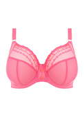 Biustonosz Elomi MATILDA EL8900WIY Uw Plunge Bra Wild Cherry