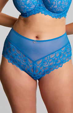 Figi pełne Panache ALLURE 10764 Deep Brief Azure Blue