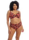 KOMPLET - Strój kąpielowy Elomi Swim KOTIYA Terrracota ES800902TEA Uw Plunge Bikini Top + ES800972TEA Mid Rise Bikini Brief (36HH + 42)