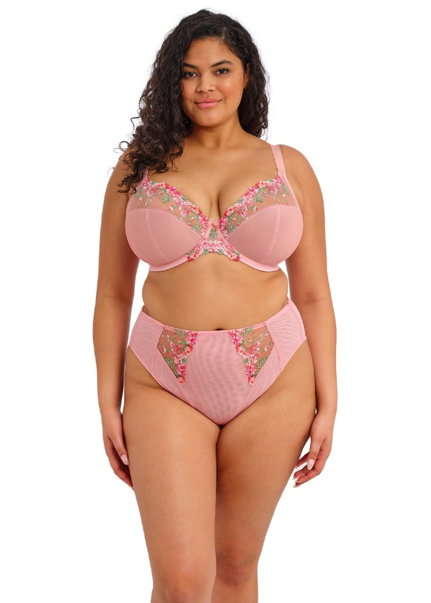 Majtki Elomi AERITH EL303650ROE Brief Rose