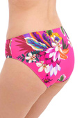 Figi kąpielowe Fantasie Swim HALKIDIKI FS501972ORD Mid Rise Bikini Brief Orchid