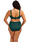 Figi Elomi SMOOTH EL4565DPE Full Brief Deep Emerald