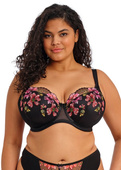 Biustonosz Elomi TEAGAN EL302615RAW Uw Padded Half Cup Bra Rainbow