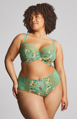 Figi Sculptresse by Panache ESME 10924 Deep Brief Wonderland