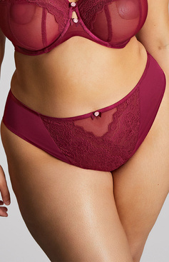 Figi Sculptresse by Panache NATALIA 11212 High Leg Brief Bordeaux Red