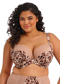 Biustonosz Elomi LUCIE EL4490WIT Uw Plunge Bra - Stretch Wildcat