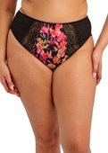 Figi Elomi MORGAN EL4118HOU High Leg Brief Hot House