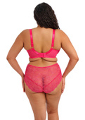Koronkowe szorty plus size Elomi DARCIE EL302980AZA Short Azalea