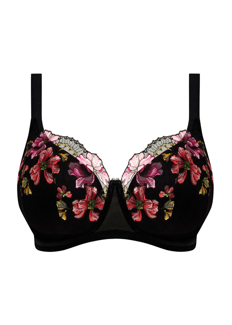 Biustonosz Elomi TEAGAN EL302615RAW Uw Padded Half Cup Bra Rainbow