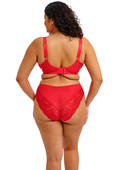 Figi Elomi TIERNIE EL303350RED Brief Red