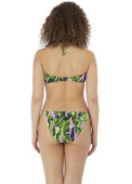 Figi kąpielowe Freya JUNGLE OASIS AS6844CAS Tanga Bikini Brief Cassis 
