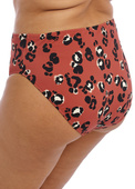 KOMPLET - Strój kąpielowy Elomi Swim KOTIYA Terrracota ES800902TEA Uw Plunge Bikini Top + ES800972TEA Mid Rise Bikini Brief (36HH + 42)