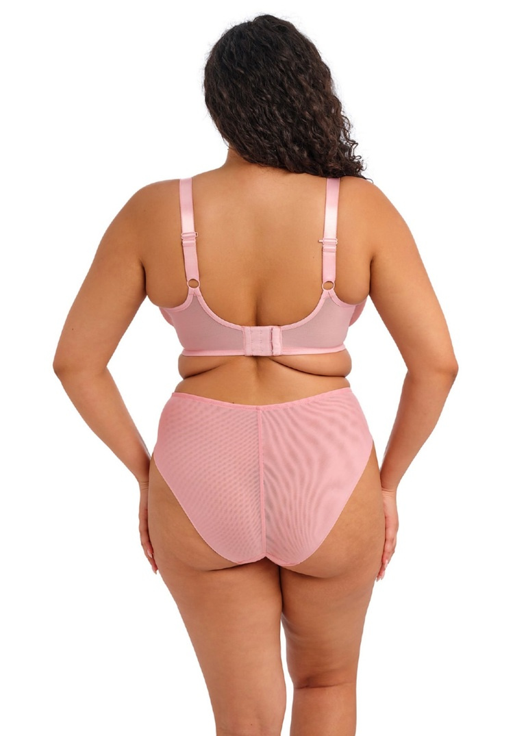 Majtki Elomi AERITH EL303650ROE Brief Rose