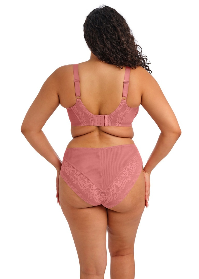 Figi Elomi NERINA EL302753DRO High Leg Brief Dusty Rose