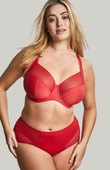 Figi Sculptresse by Panache BLISS 10684 Deep Pant Salsa Red