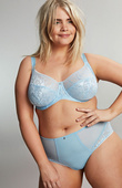 Figi Sculptresse by Panache DREAM 10804 Deep Brief Pale Blue