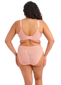 Figi Elomi ZARLA EL302553RUD High Leg Brief Rose Bud