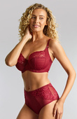Biustonosz Panache ENVY 7285A Full Cup Bra Sparkling Cherry