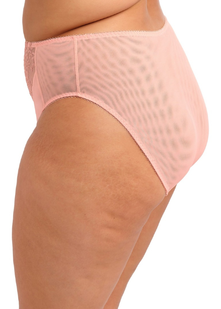 Figi Elomi ZARLA EL302553RUD High Leg Brief Rose Bud