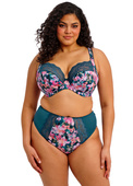 Figi Elomi LUCIE EL4498TOL High Leg Brief Teal Floral