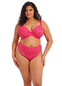 Biustonosz Elomi DARCIE EL302902AZA Uw Plunge Bra Azalea