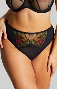 Figi Sculptresse by Panache EDEN 10912 High Leg Brief Black