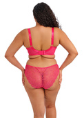 Brazyliany Elomi DARCIE EL302955AZA Brazilian Brief Azalea