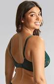 Biustonosz Panache ALLURE 10765 Full Cup Bra Forest Green