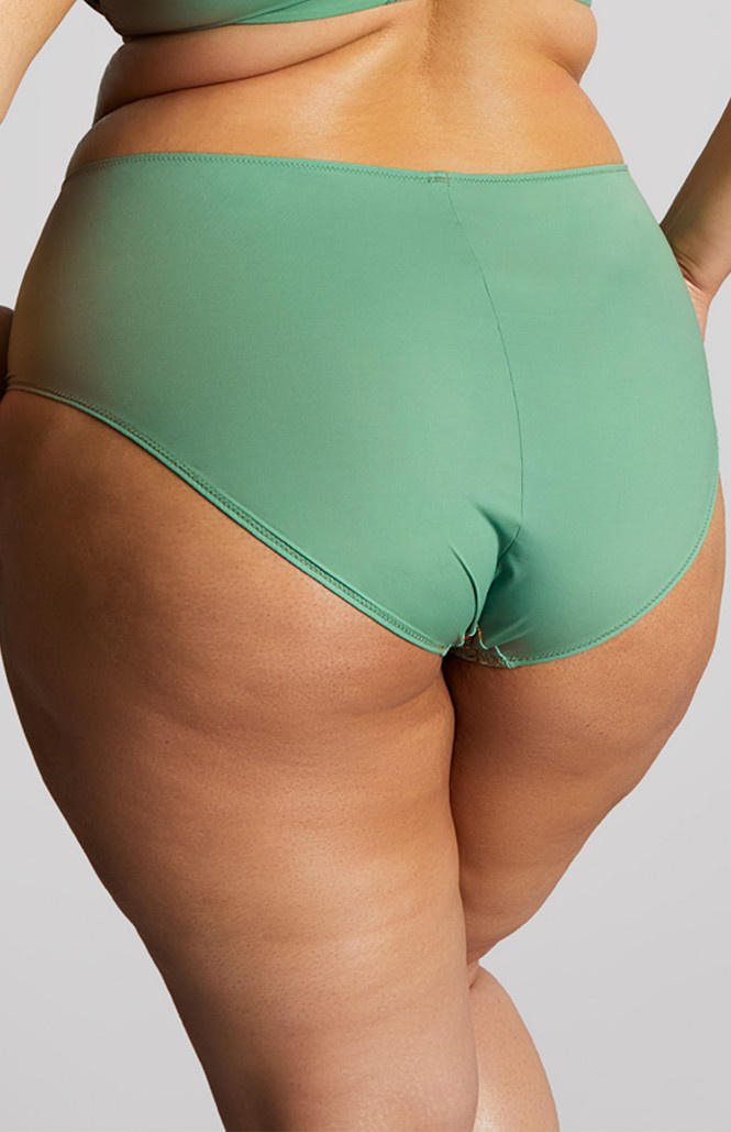 Figi Sculptresse by Panache ESME 10924 Deep Brief Wonderland