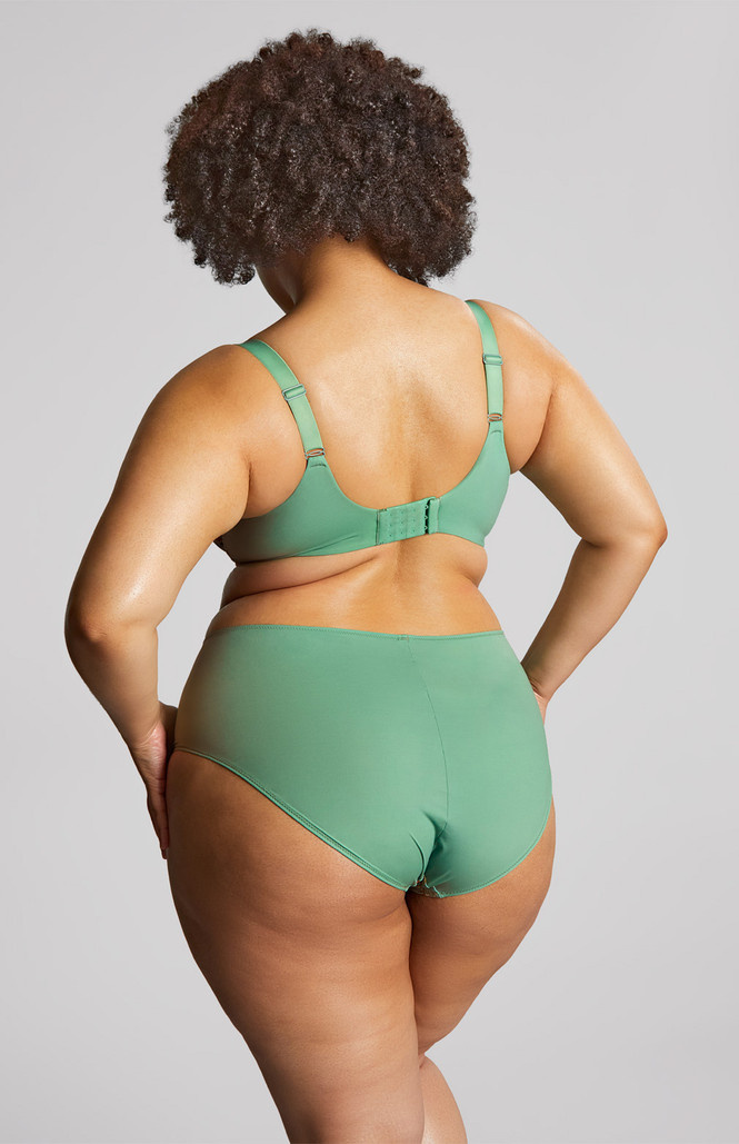 Figi Sculptresse by Panache ESME 10924 Deep Brief Wonderland