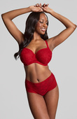 Figi Panache TANGO LACE 10962 Deep Brief Scarlet