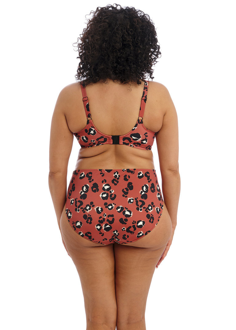 KOMPLET - Strój kąpielowy Elomi Swim KOTIYA Terrracota ES800902TEA Uw Plunge Bikini Top + ES800972TEA Mid Rise Bikini Brief (36HH + 42)