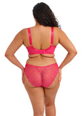 Biustonosz Elomi DARCIE EL302902AZA Uw Plunge Bra Azalea