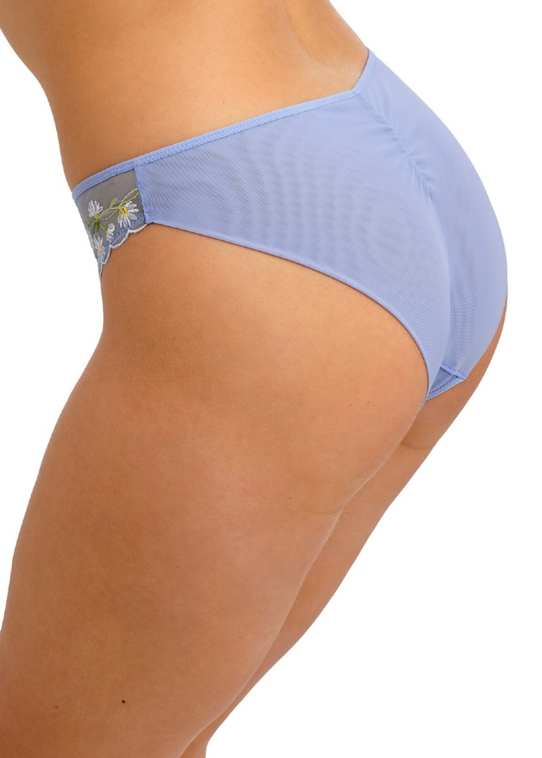Majtki Freya ENTWINED AA403850DSY Brief Daisy