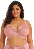 Biustonosz Elomi AERITH EL303602ROE Uw Plunge Bra Rose