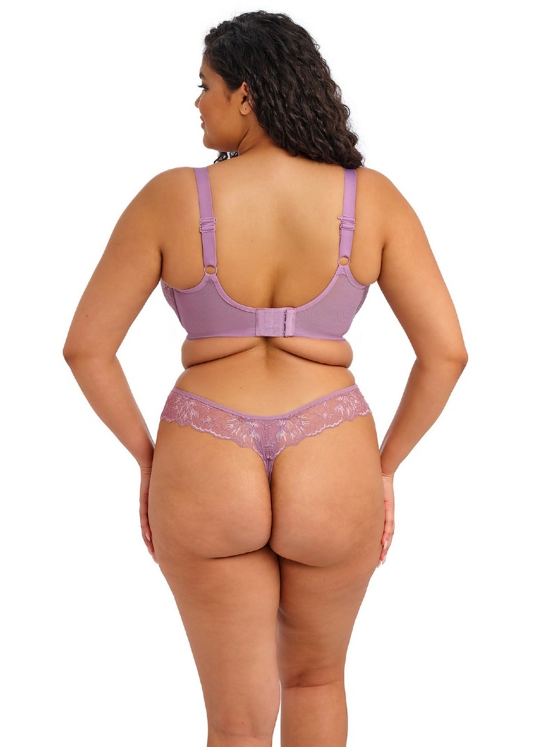 Stringi Elomi BRIANNA EL8087HER Thong Heather