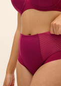 Majtki z wysokim stanem FANTASIE EVOLUTION COMFORT FL104452RUY High Waist Brief Ruby