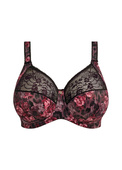 Biustonosz Elomi MORGAN EL4110DAE Uw Bra Berry Dark Romance