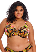 Biustonosz kąpielowy Elomi Swim TIGER VALLEY ES802302BLK Uw Plunge Bikini Top Black