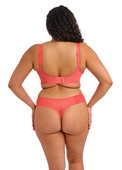 Stringi Elomi MATILDA EL8907SUT Thong Sunset