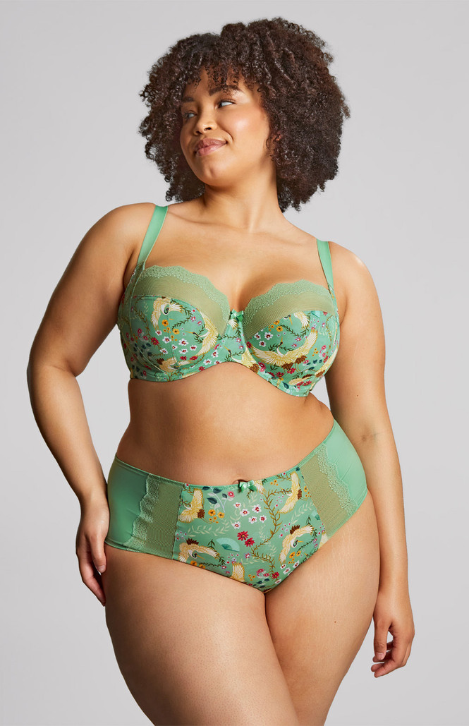 Figi Sculptresse by Panache ESME 10924 Deep Brief Wonderland